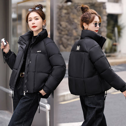 Fashion Stand Collar Winter Down Jacket