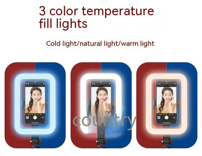 Product model 4
