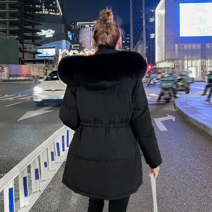 Korean Style Slim Padded Down Padded Jacket Fashion Winter Padded Jacket