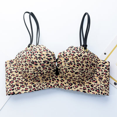 Product model 5
