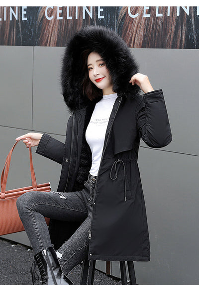 Product model 2