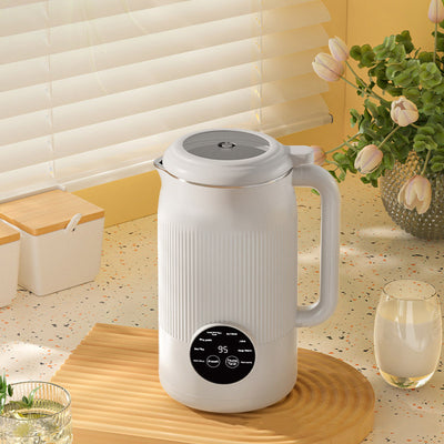 Product model 6