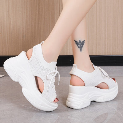 Product model 6