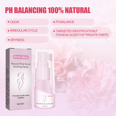 Product model 5