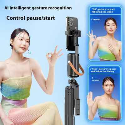 Product model 6