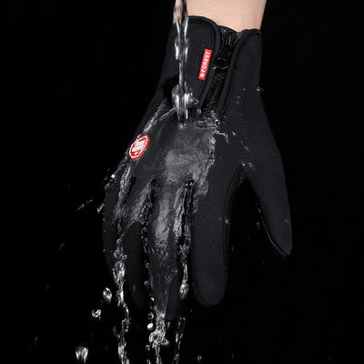 Product model 6