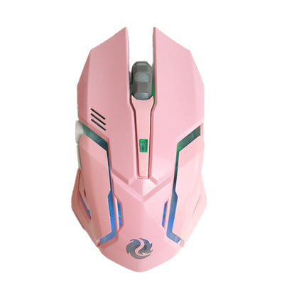 Product model 5