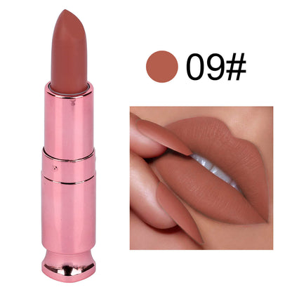 Color lipstick Matte No Stain On Cup Long Lasting