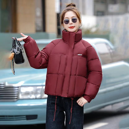 Fashion Stand Collar Winter Down Jacket