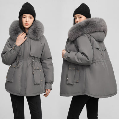 Product model 1