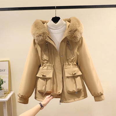 Product model 6
