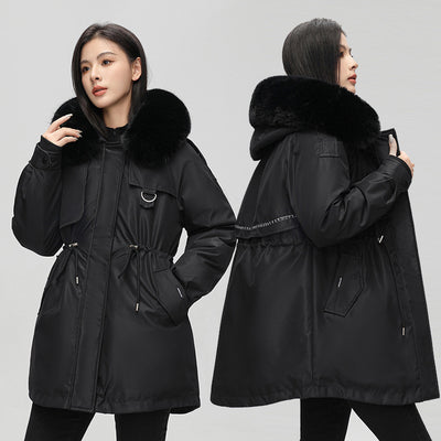 Product model 5