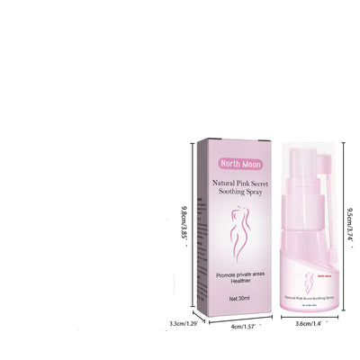 Product model 2