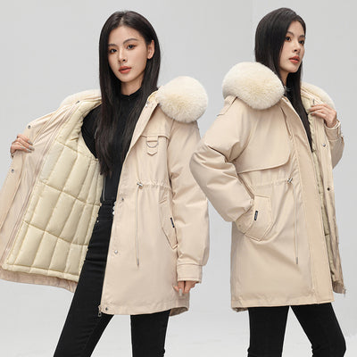 Product model 1