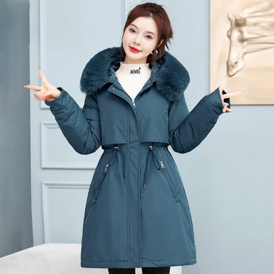 Product model 6