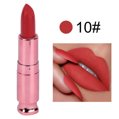 Product model 11