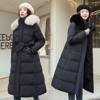 Product model 10