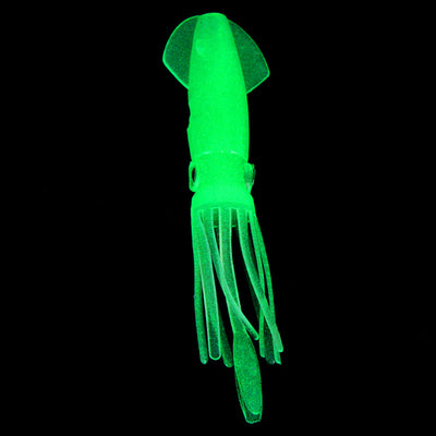 Product model 5