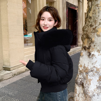 Thick Warm Hooded Short Big Fur Collar Loose Petite Cotton-padded Coat