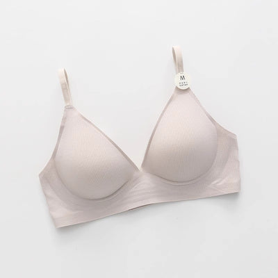 Product model 6