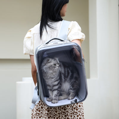 Product model 2