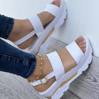 Product model 5
