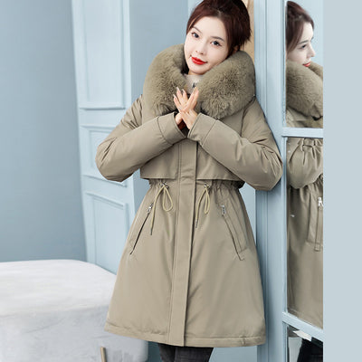 Product model 5