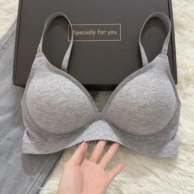 Product model 1