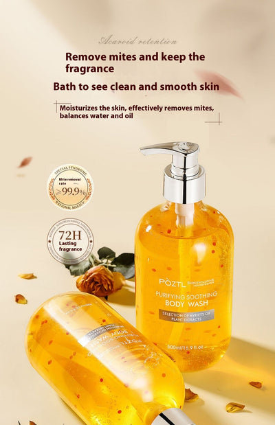 Product model 8