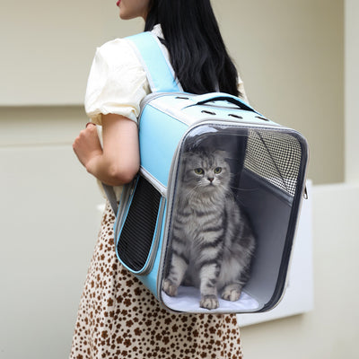 Product model 6