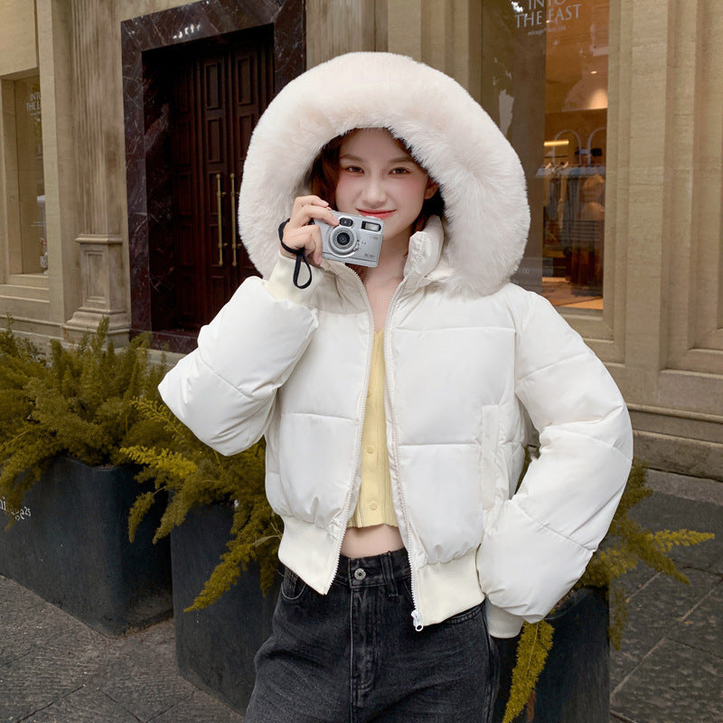Thick Warm Hooded Short Big Fur Collar Loose Petite Cotton-padded Coat