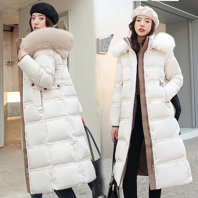 Product model 1