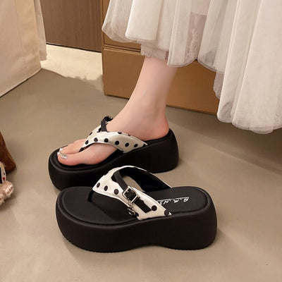 Product model 5
