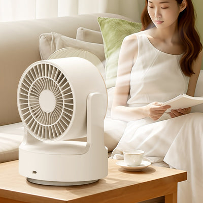 Product model 4