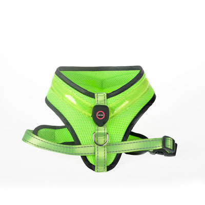 Product model 5