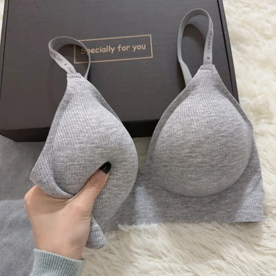 Product model 2