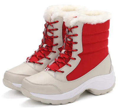 Product model 29