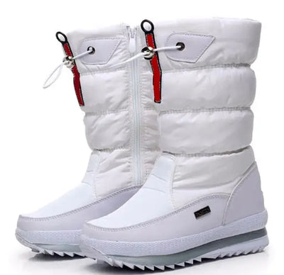 Product model 21