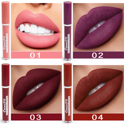 Product model 4