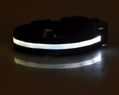 Product model 22