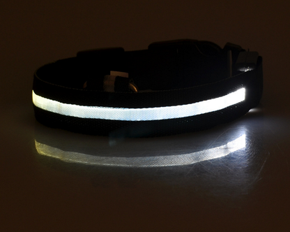 LED Pet Collar Night Safety Flashing Glow in Dark And Adjustable Pet Supplies