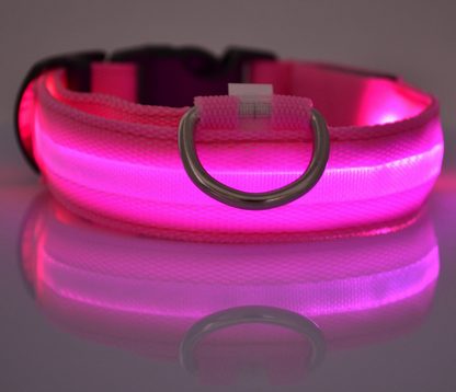 LED Pet Collar Night Safety Flashing Glow in Dark And Adjustable Pet Supplies