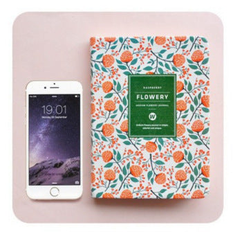 Product model 6