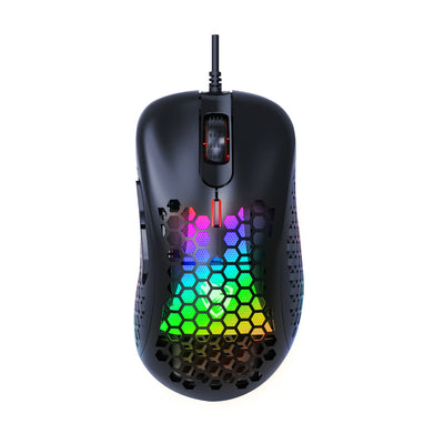 Product model 1