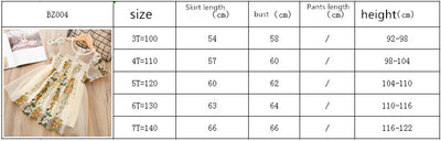 Product model 6