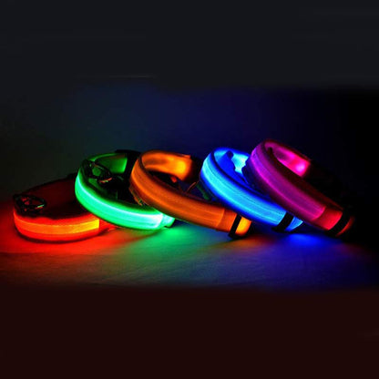 LED Pet Collar Night Safety Flashing Glow in Dark And Adjustable Pet Supplies