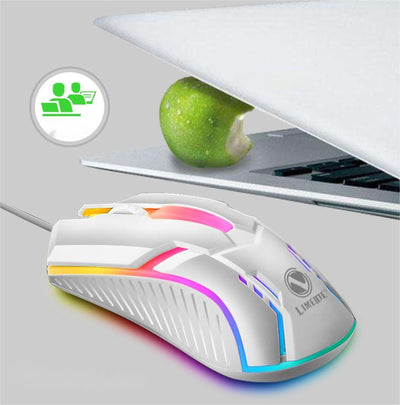 Product model 2