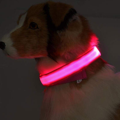 LED Pet Collar Night Safety Flashing Glow in Dark And Adjustable Pet Supplies