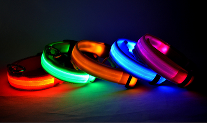 LED Pet Collar Night Safety Flashing Glow in Dark And Adjustable Pet Supplies