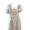 Women's French Court Style Floral Dress